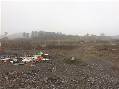 涉資600億 樂視國內兩大項目未現(xiàn)施工跡象