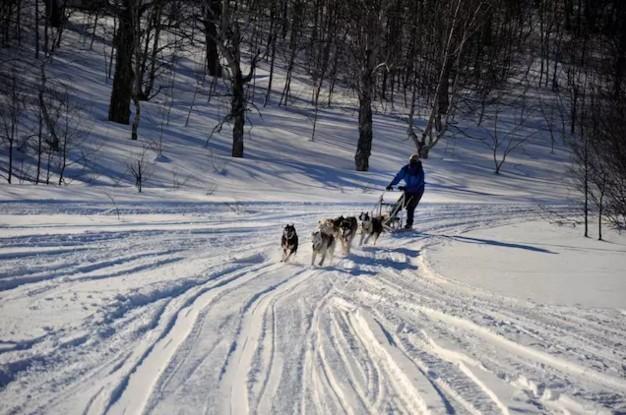 為什么那些線上起家的旅行服務(wù)商，都紛紛做起了地接？
