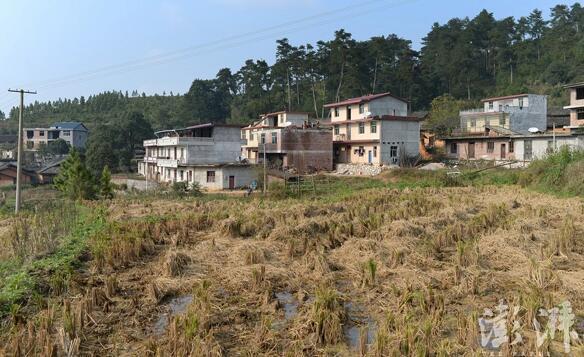 “小馬云”之父：網(wǎng)上都是謠言！讀書才能改變命運