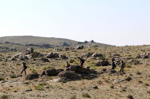 402492_tengy_1484890381392