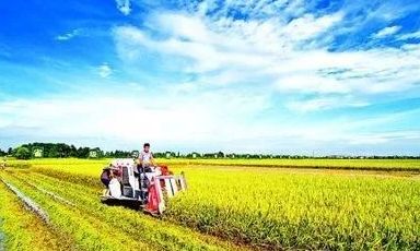 今年中國大農(nóng)業(yè)要做這幾件大事兒！