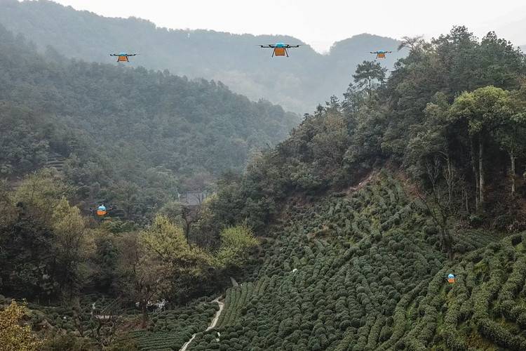 獅峰龍井第一采由無人機運輸_宇辰網(wǎng)_讓世界讀懂無人機_全球專業(yè)無人機服務資訊平臺