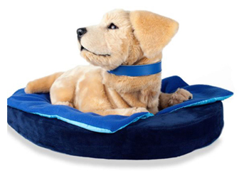 機器人能否拯救全球老齡化問題？